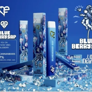 Favorites Blueberry Sap 2g disposable